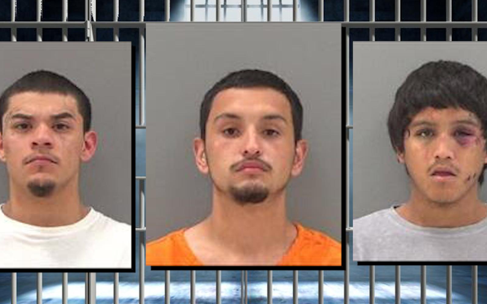 Thomas Gonzales (left) Armando Meza (middle) Martin Cano (right) 