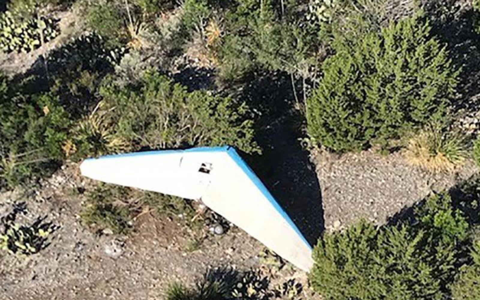 Border Patrol Agents Save Ultralight Pilot (Contributed/CBP)