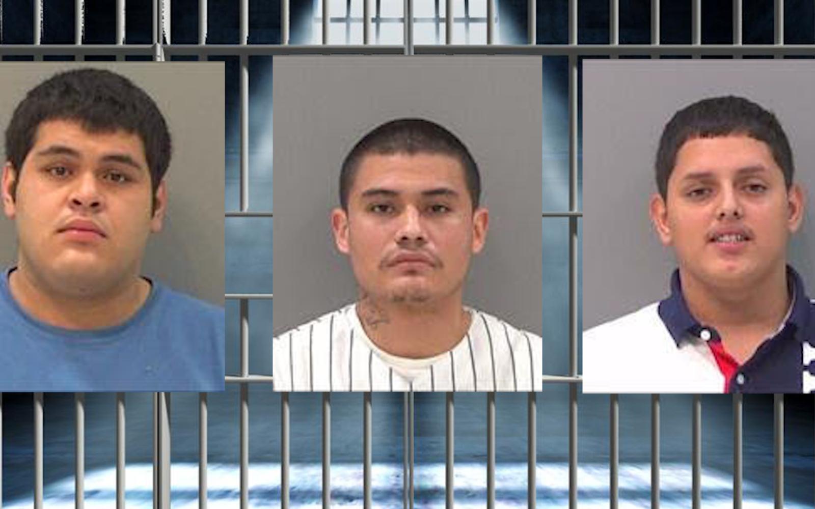 Christopher Chavez (left) Jesus Alvarez (middle) Miguel Covarrubias (right) 