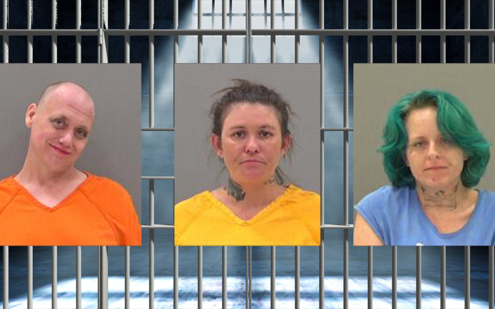 Theodore Hultstrand, Susan Humphrey, Anna Maupin