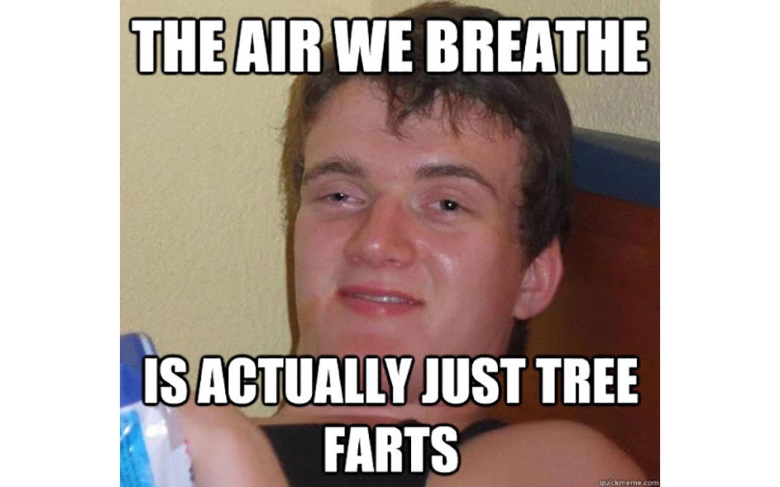 Tree farts