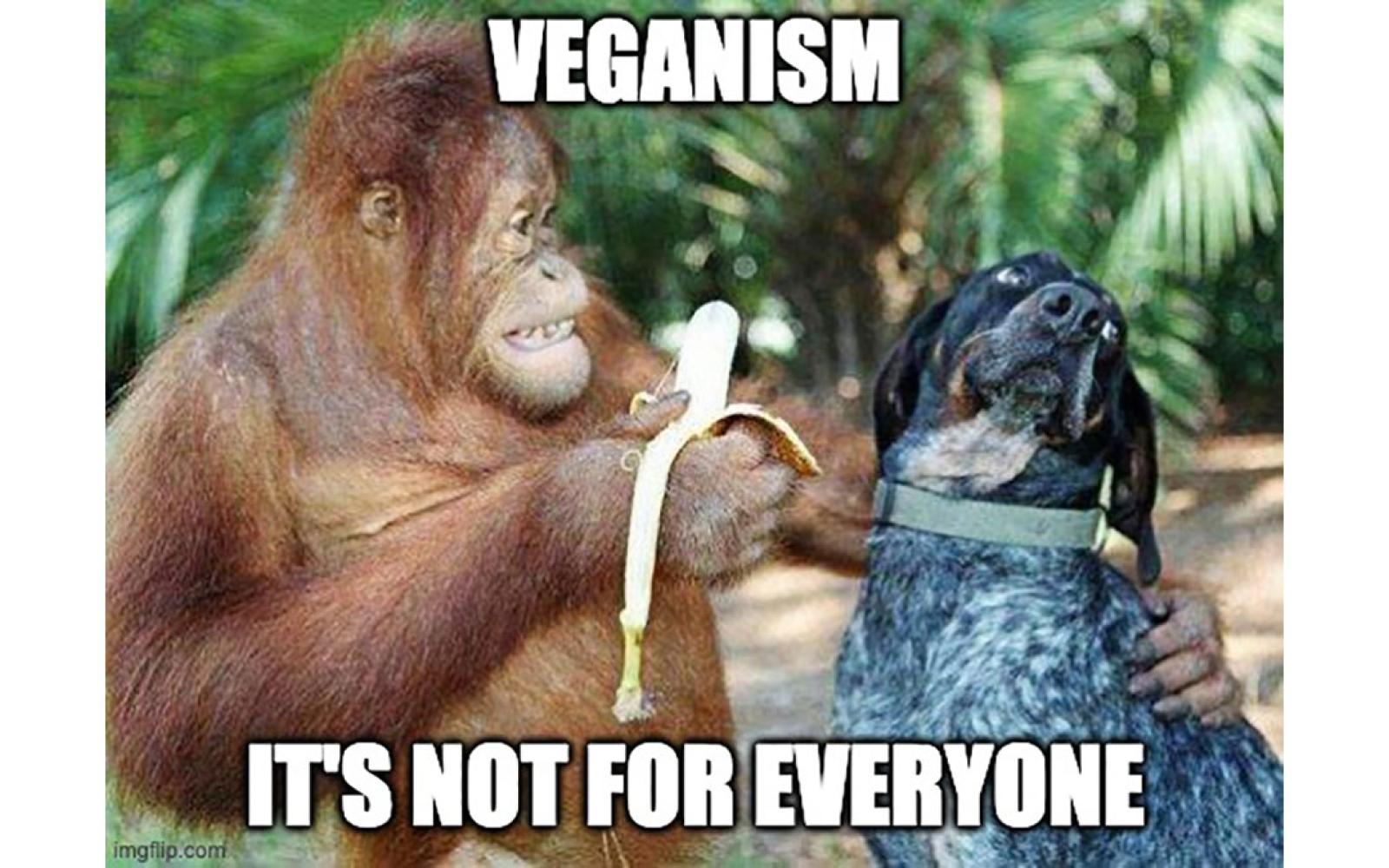 Veganism