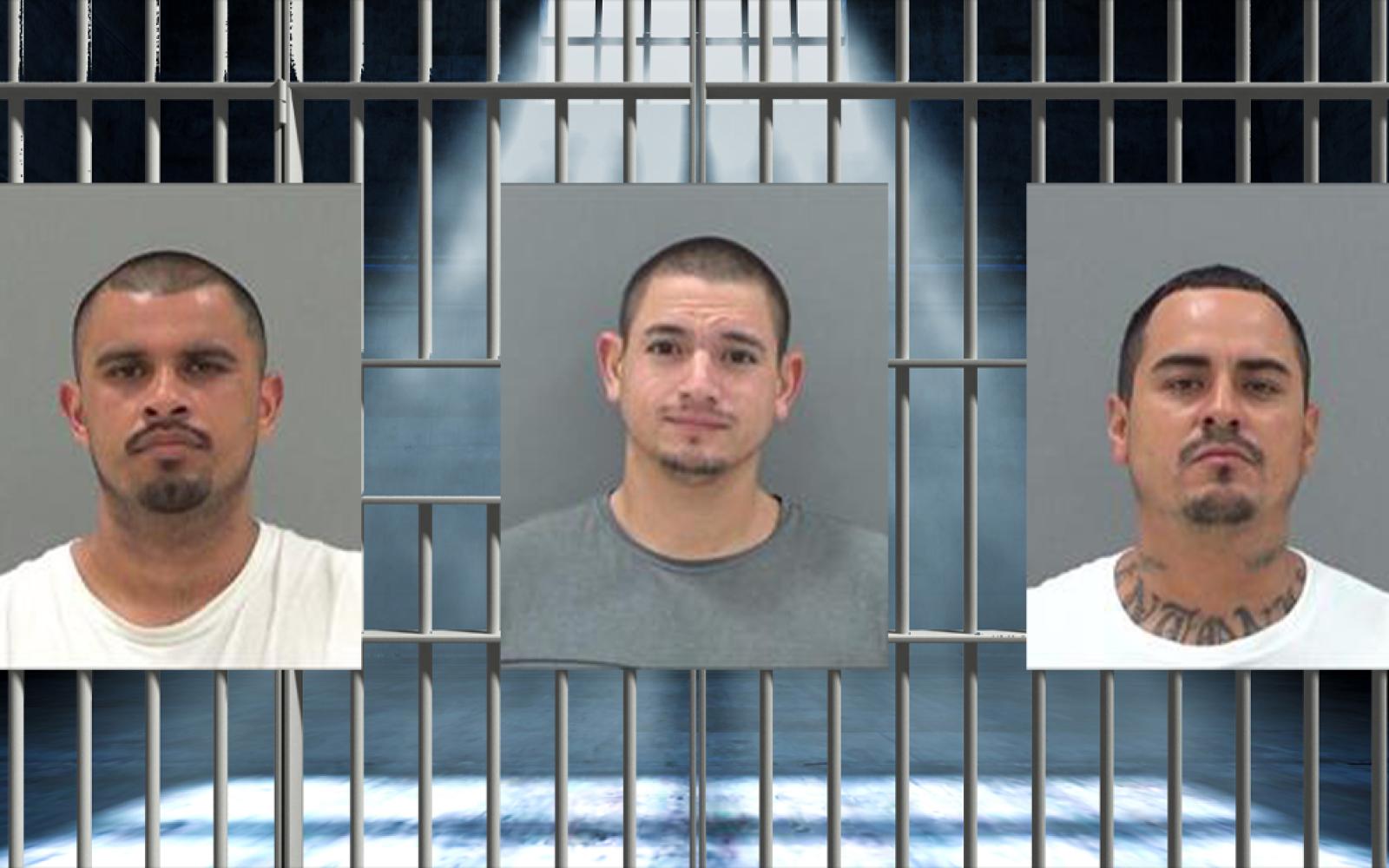 Jason Lujan, Cody Salazar, Jose Trevino