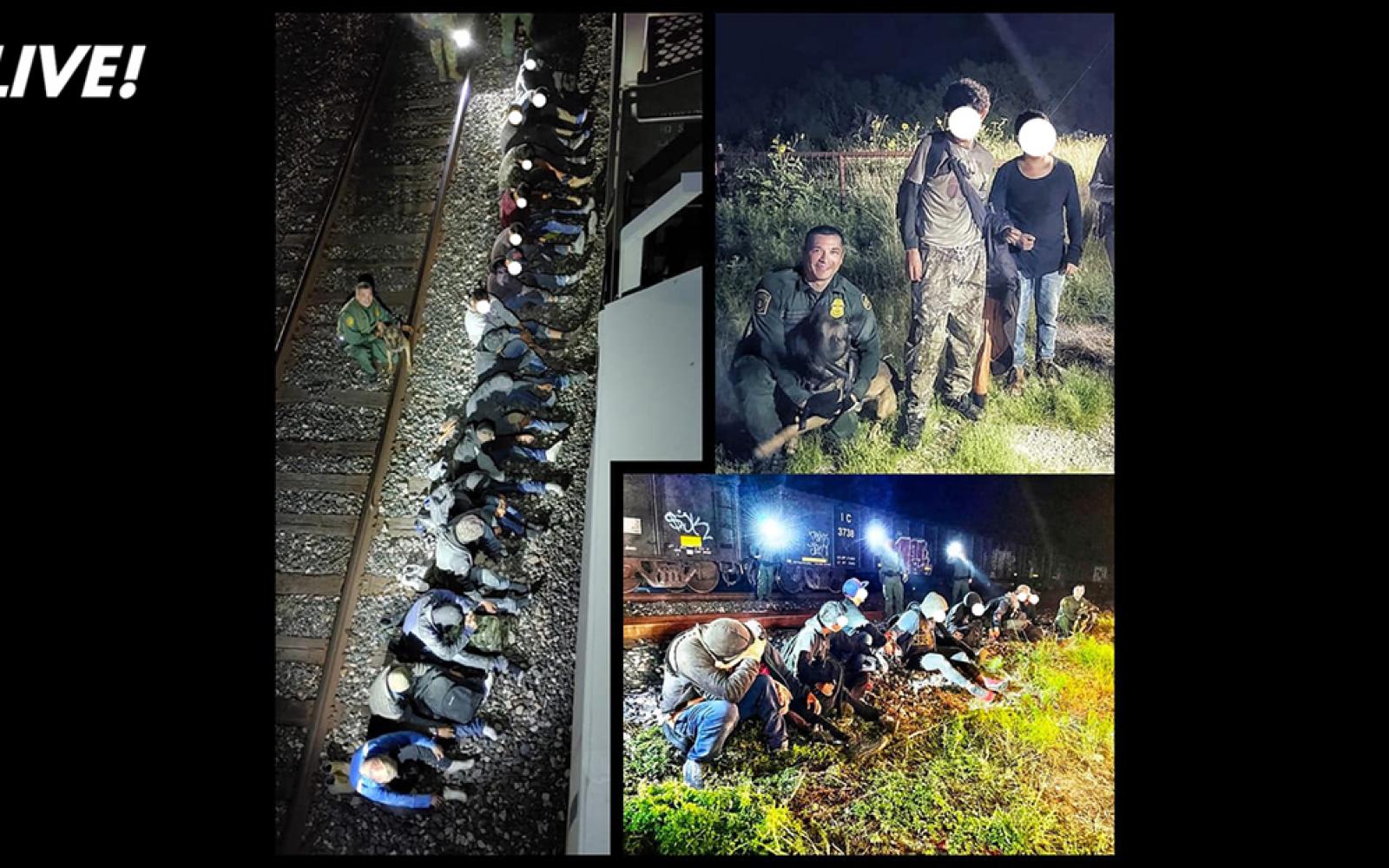 K-9 Bo | U.S. Border Patrol Del Rio Sector