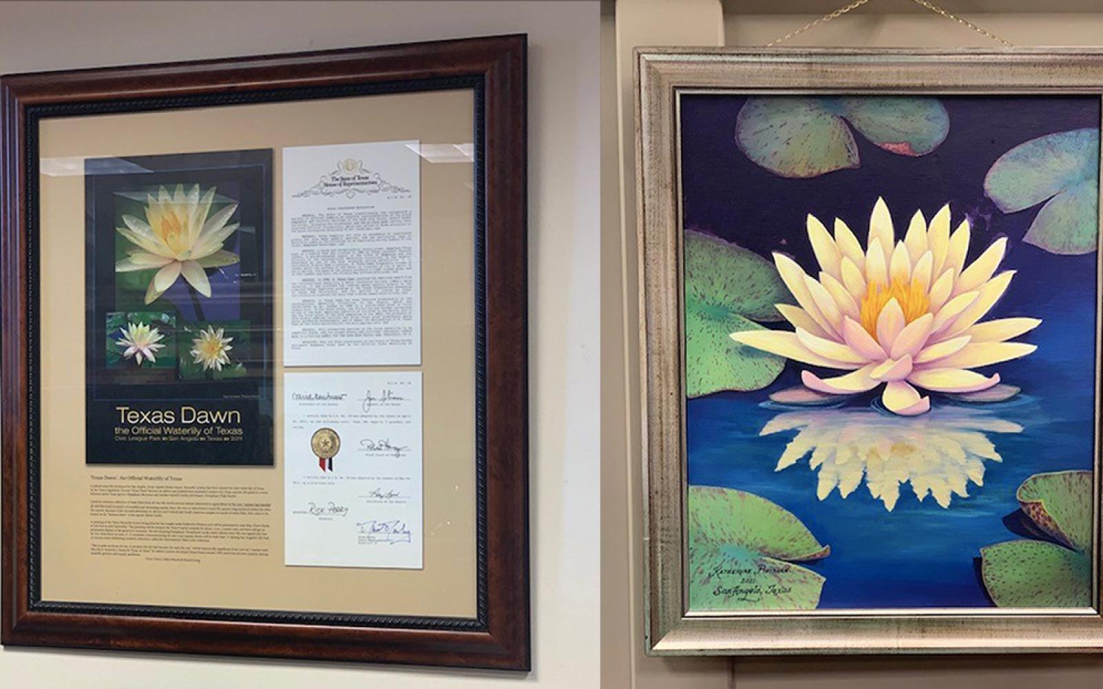 Texas Dawn at Texas Capitol | Courtesy of Rep. Drew Darby