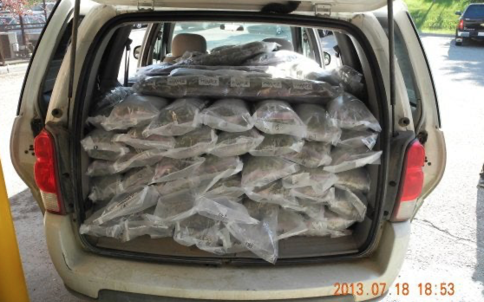 What 300 Pounds of Marijuana Looks Like