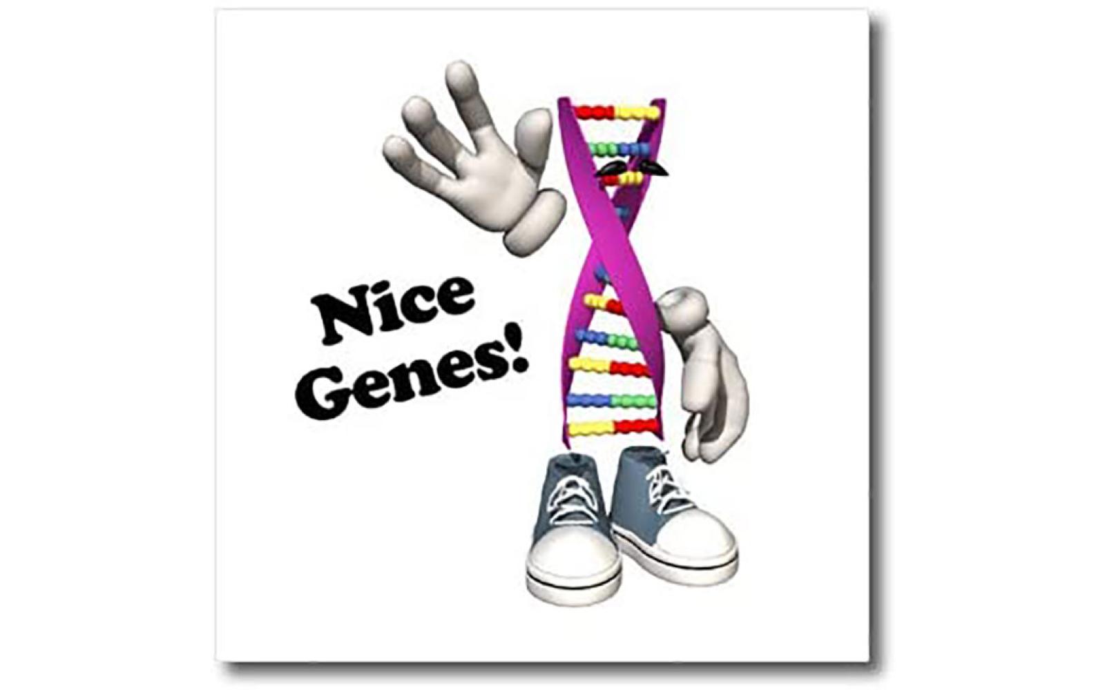 Walmart DNA
