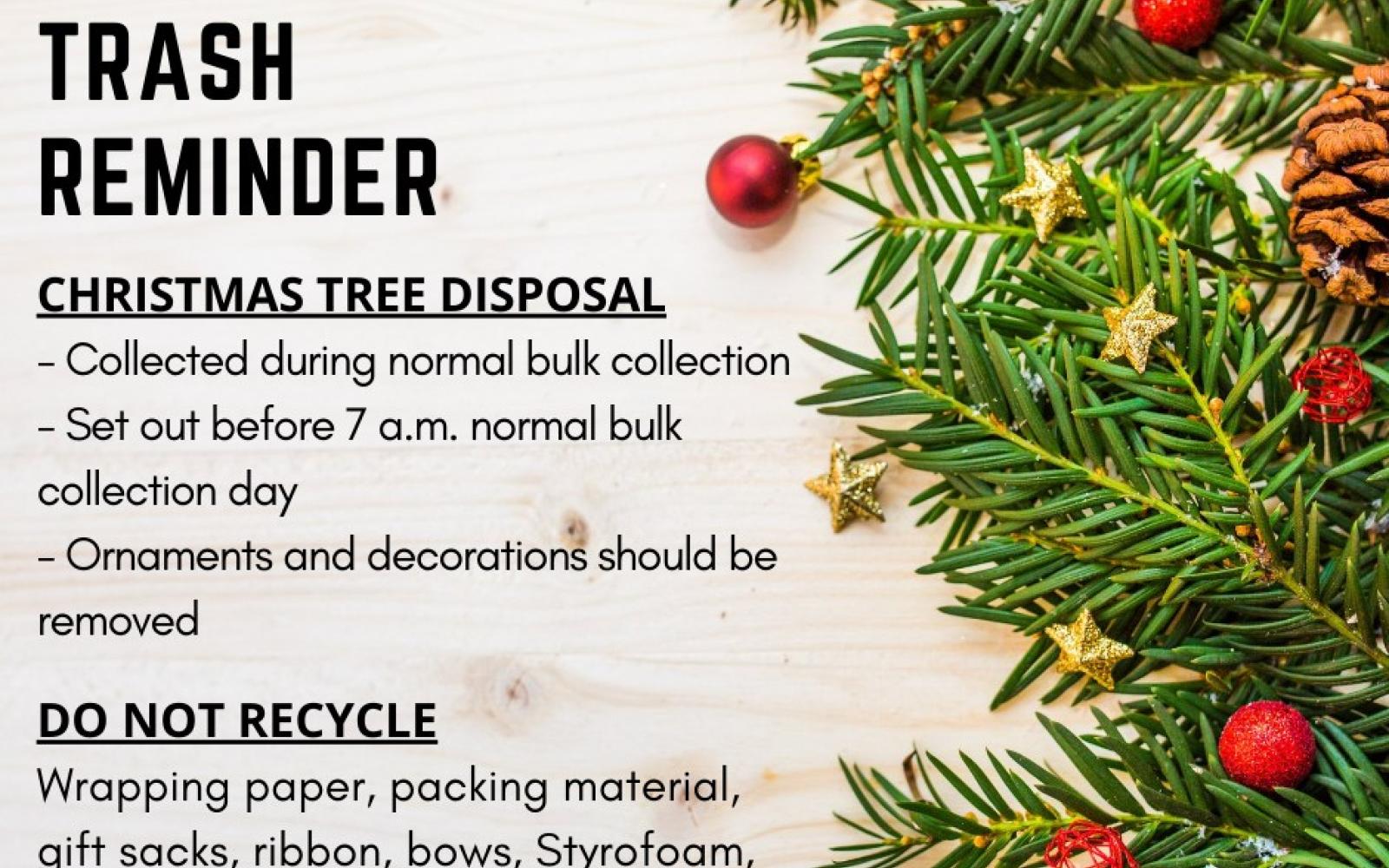 Christmas Tree Disposal Information (Contributed/COSA)