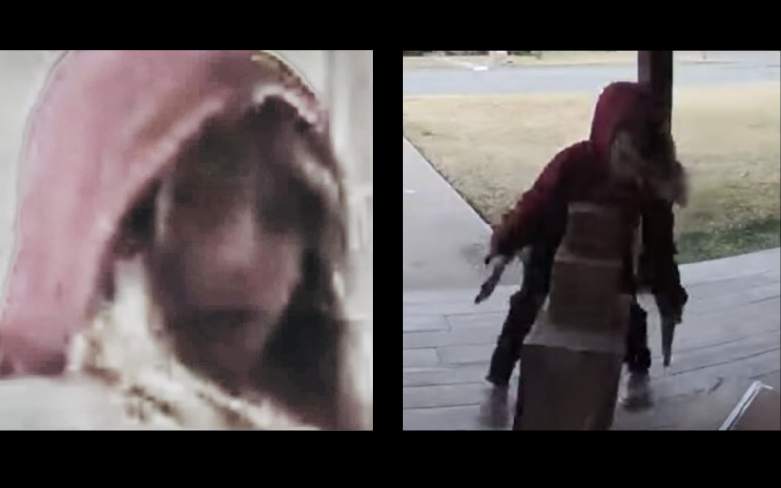 Coleman Porch Pirate