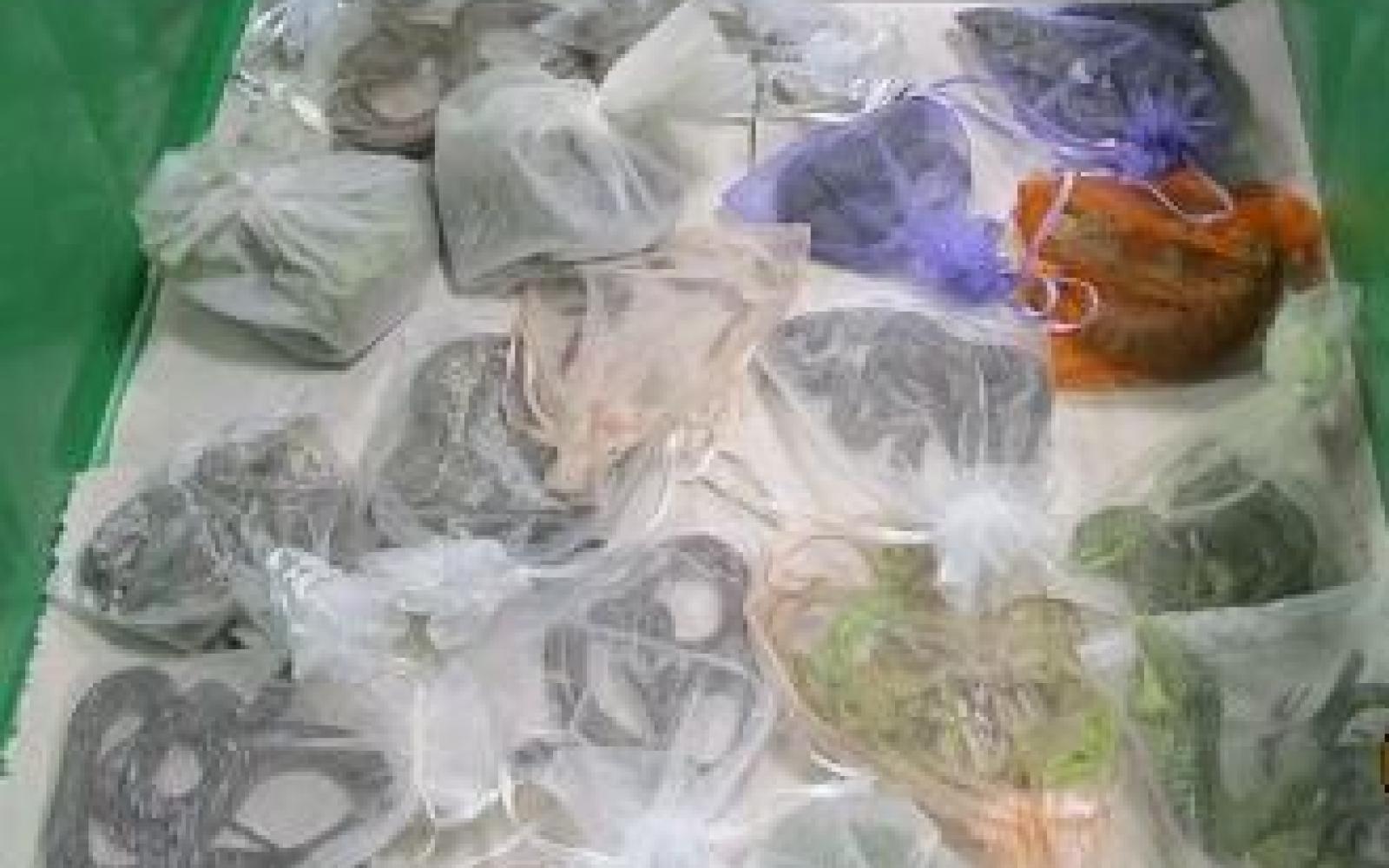 Snakes & Lizards Seized by Border Agents (Contributed/CBP)