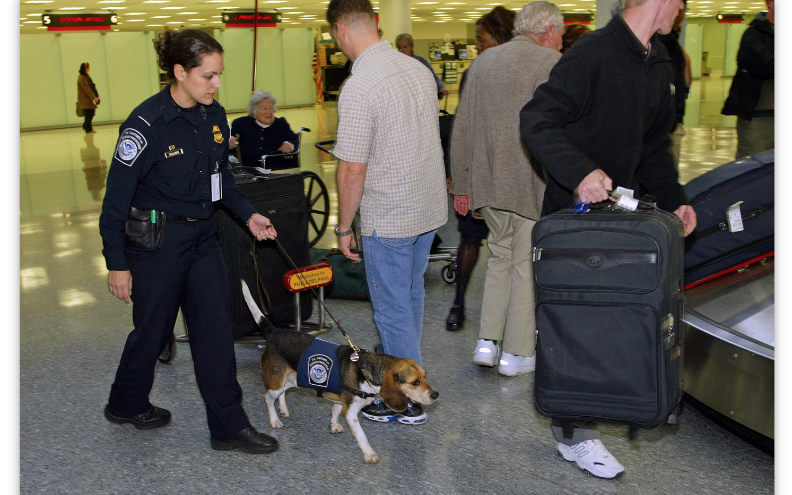 Customs & Border Protection Travel Tips (Contributed/CBP)