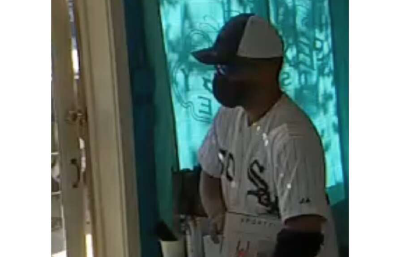 Sex Shop Burglary Suspect (Contributed/Sexology Institute)