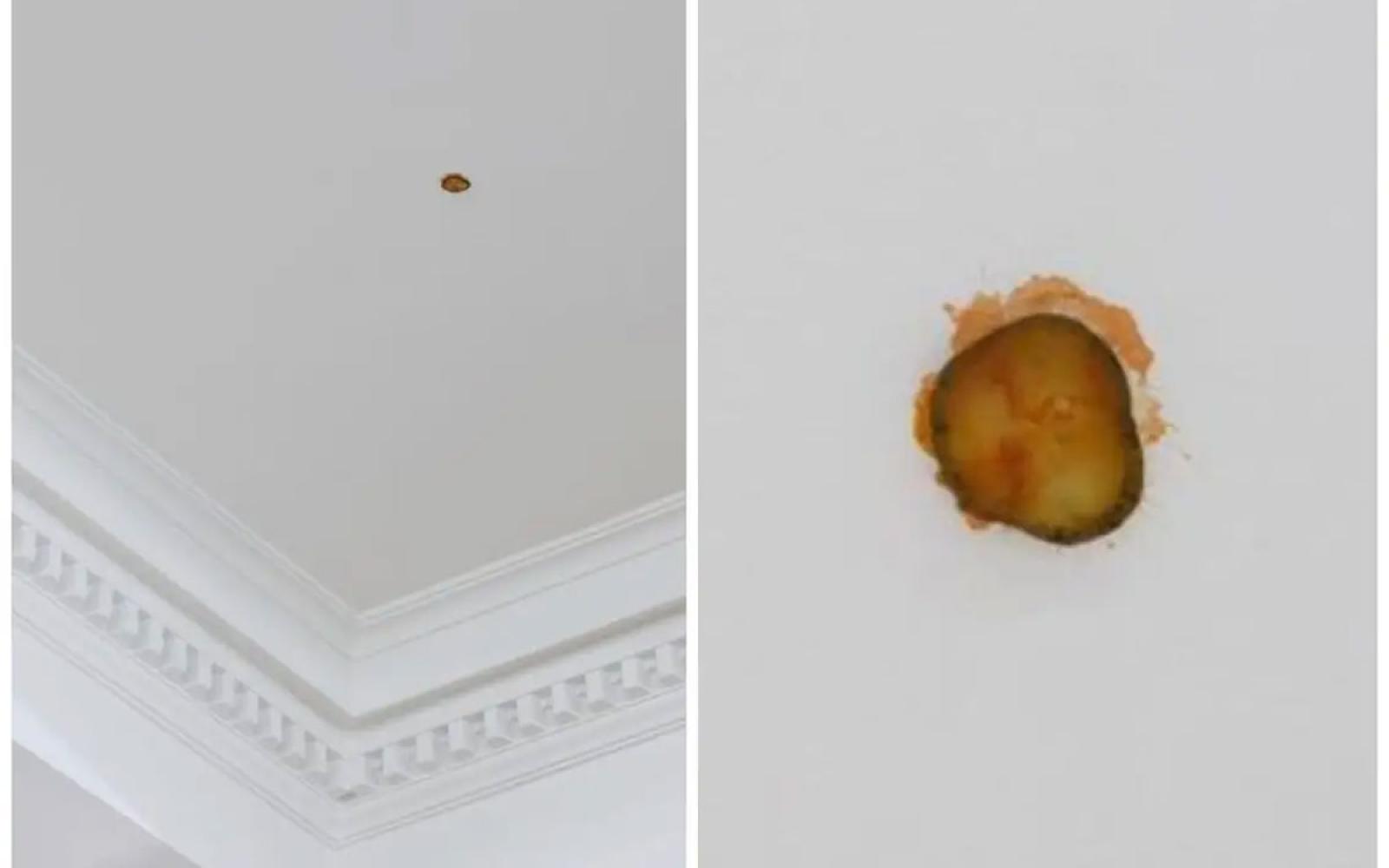 For over six Gs, and you get a how-to for staining your ceiling with a pickle.