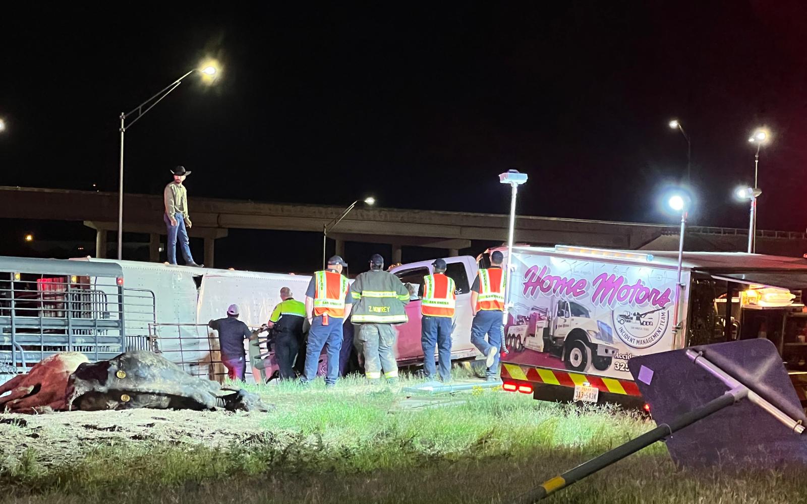 Mass Casualty Crash Kills Many Cows on November 3, 2022