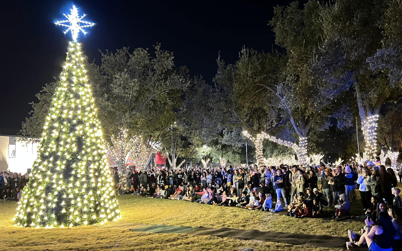 Angelo State Christmas Tree Lighting
