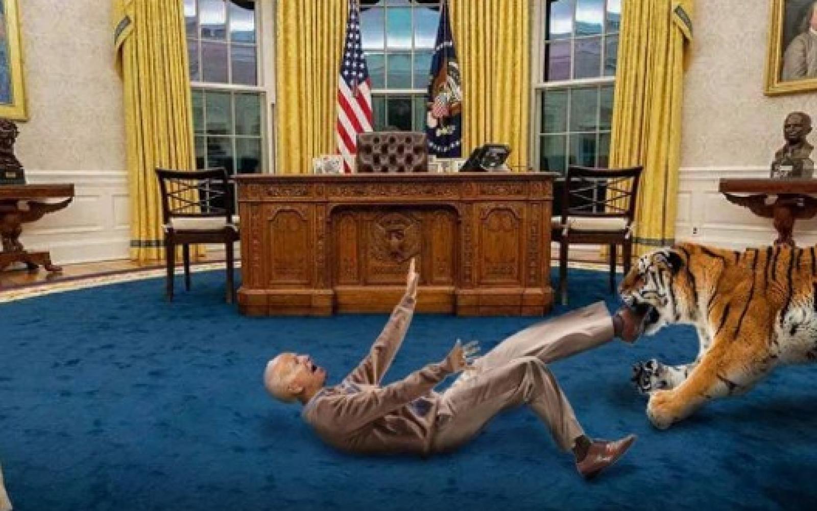 Make America Exotic (Courtesy/Joe Exotic)