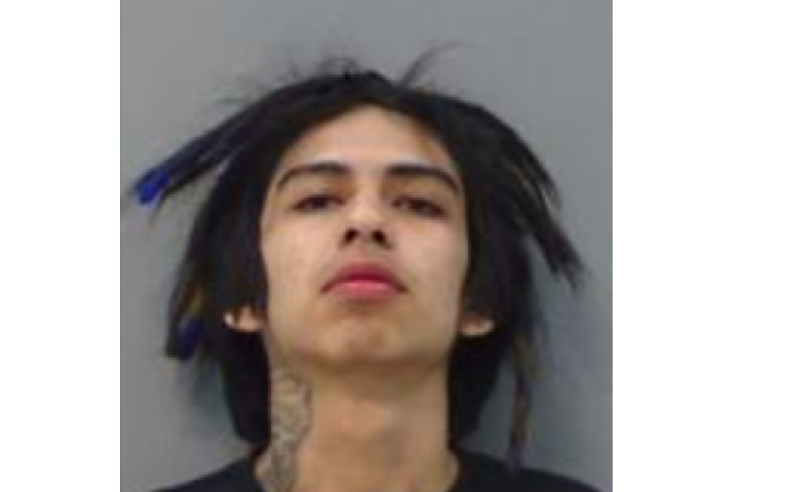Adam Chappa Mugshot (Courtesy/TGCSO)