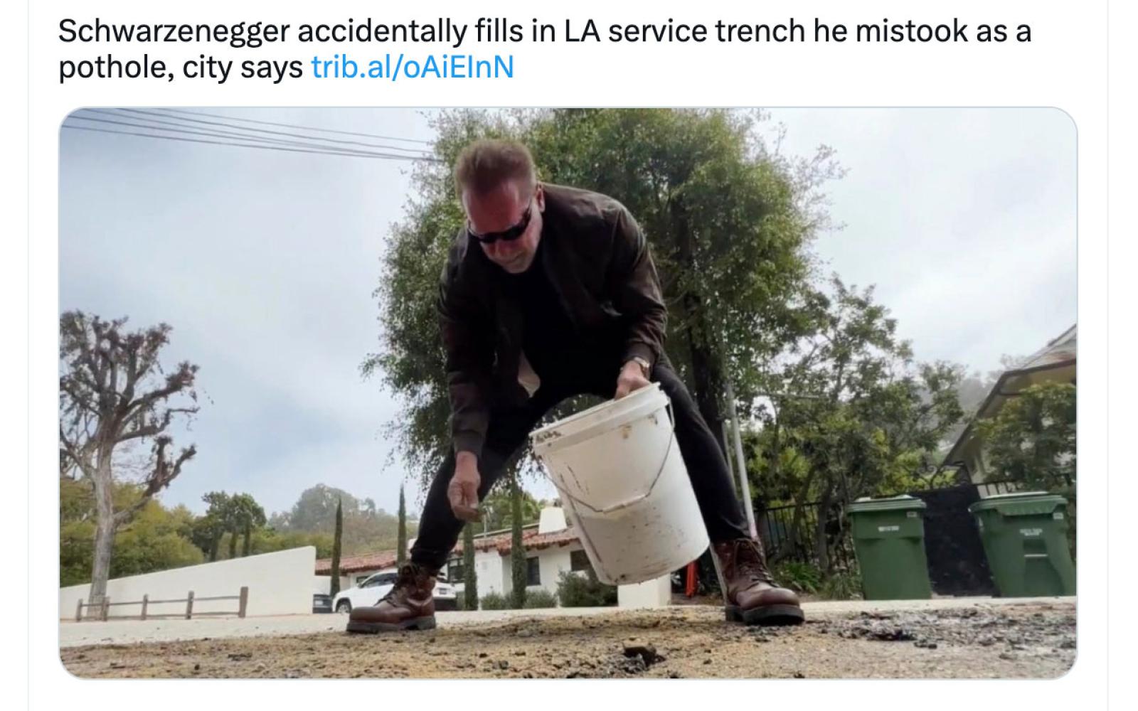 Arnold Schwarzenegger’s recent blunder, in which he took it upon himself to fill a nasty pothole in his LA neighborhood. 