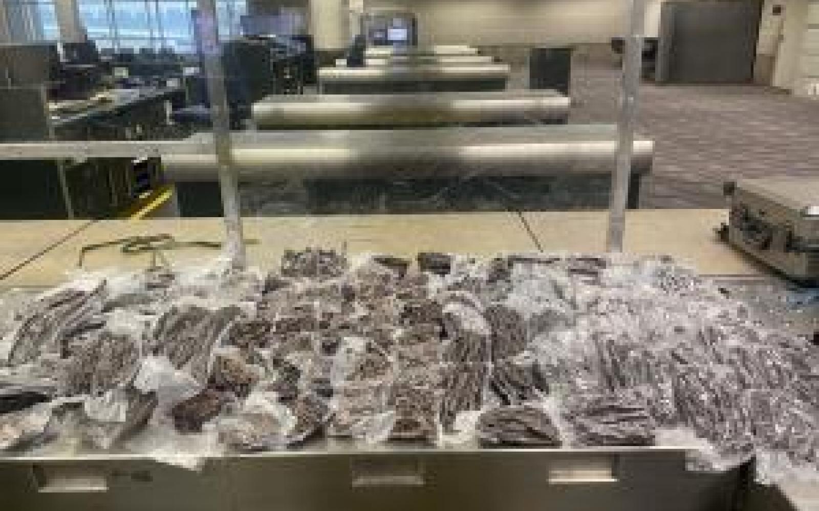 83 Pounds of Illegal African Dried Beef (Courtesy/CBP)