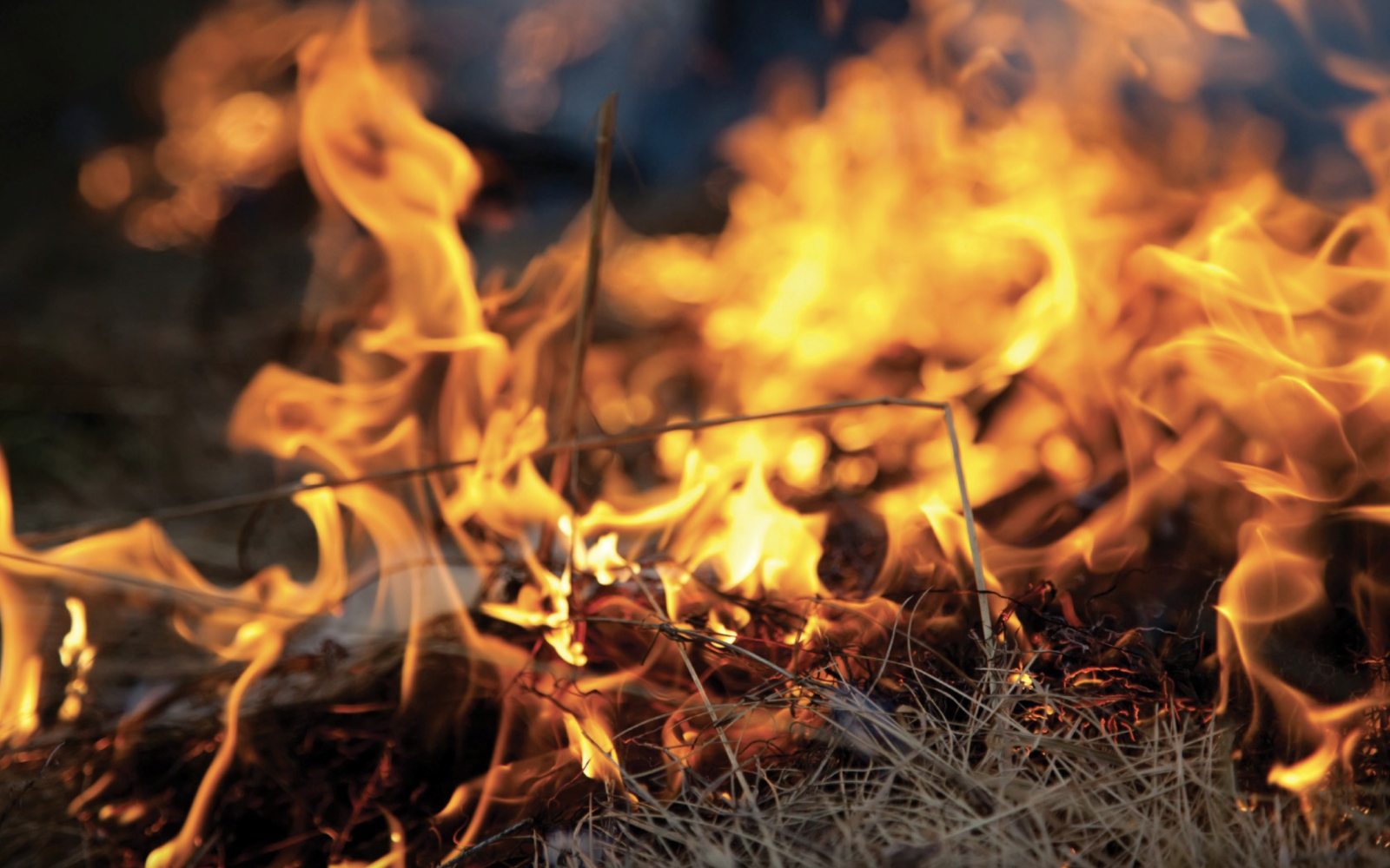 Burn Ban in Effect
