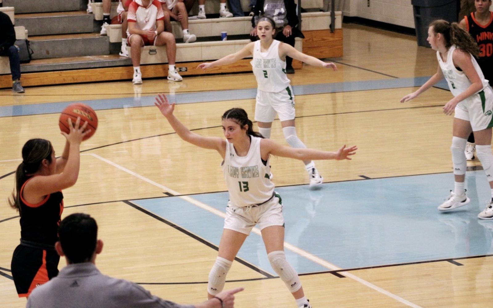 Wall Lady Hawks