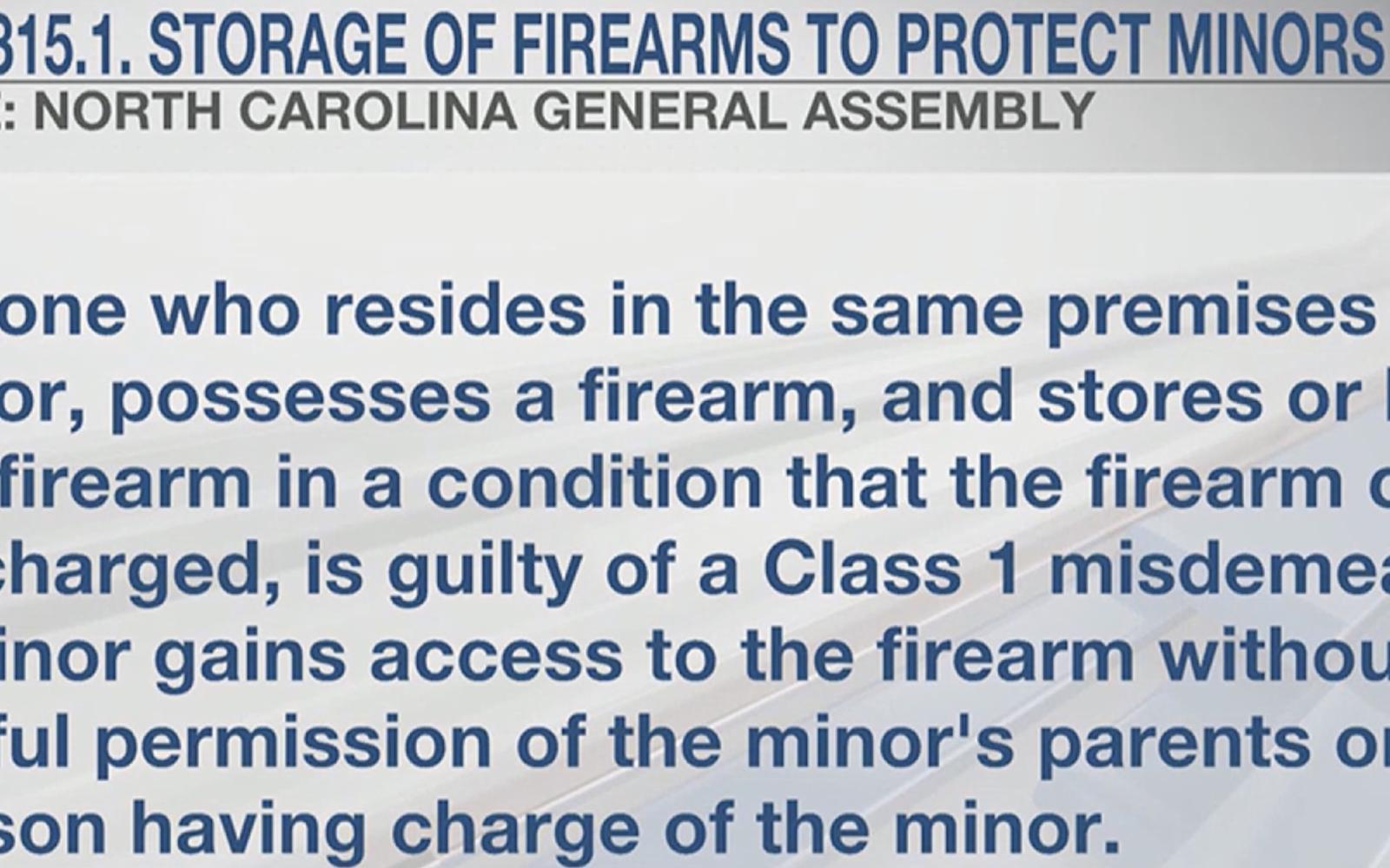 Storage of Firearms Law