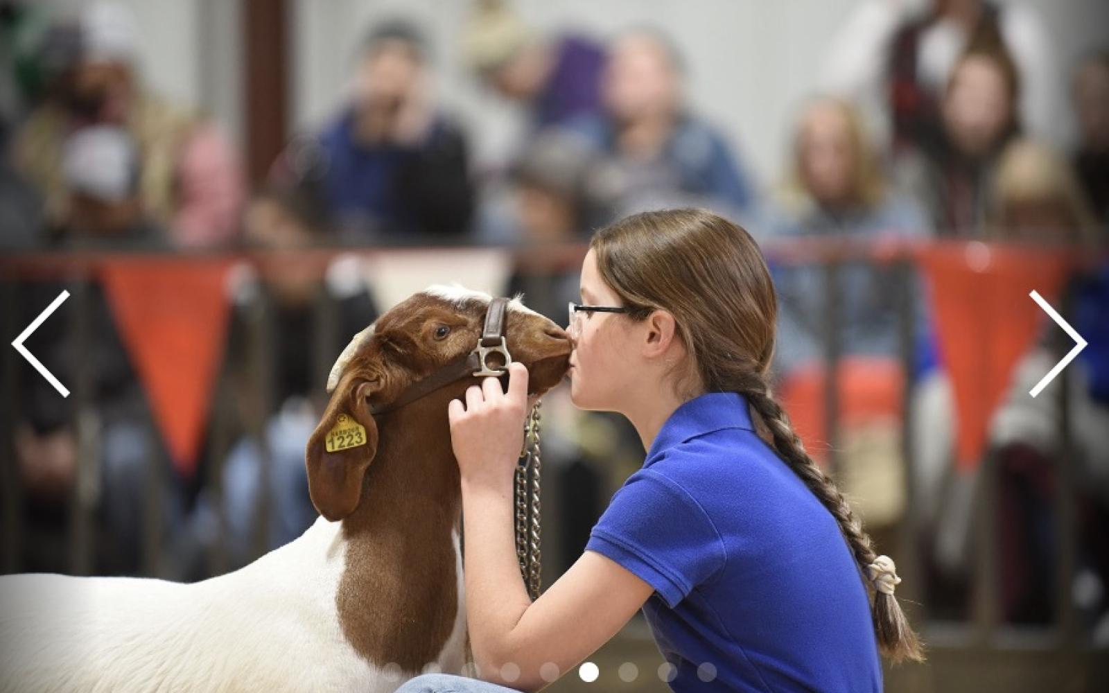 San Angelo Stock Show