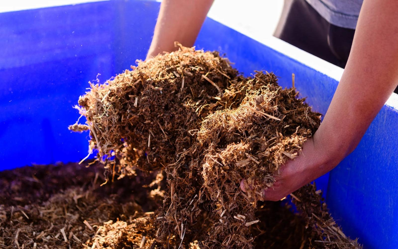 Industrial hemp farming in Texas could be coming to an end if lawmakers pass Senate Bill 3, which would ban all THC products.