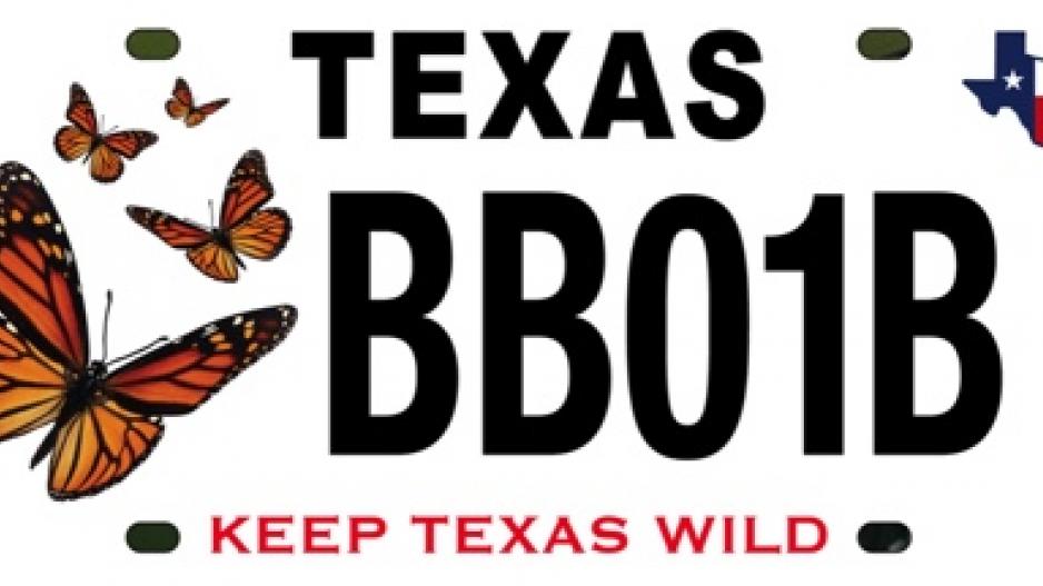 Monarch Butterfly License Plate Texas (Contributed/TPWD) Monarch Butterfly License Plate Texas (Contributed/TPWD)