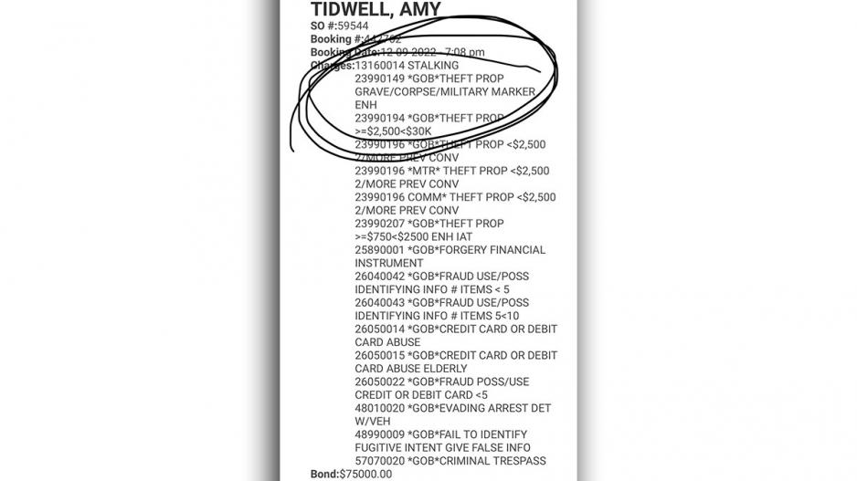 The original charges against Amy Tidwell on the day we reported her plea. The original charges against Amy Tidwell on the day we reported her plea.