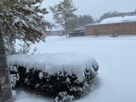 2021 San Angelo Blizzard Valentine's Day (LIVE! Photo/Yantis Green)