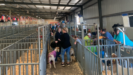 Barns Open for the 2021 San Angelo Livestock Show