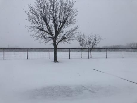 SNOW