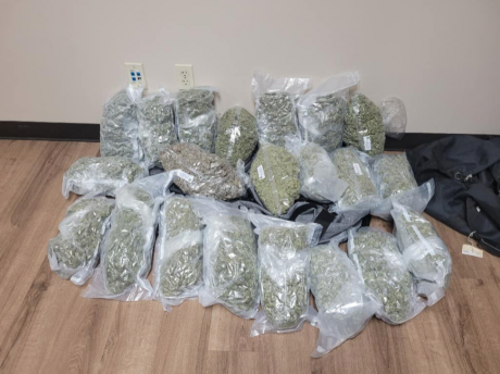 19 Pounds of Marijuana