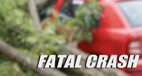 Fatal Crash Tree