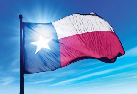 State of Texas flag