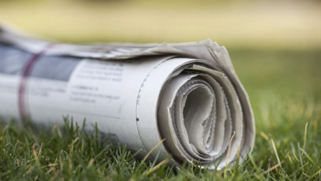 Newspaper