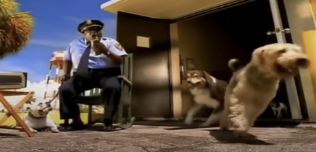 Who Let the Dogs Out? (Courtesy/The Farmers Dog)