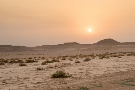 Cold Dry Freeze in the Desert (Courtesy StormGEO)