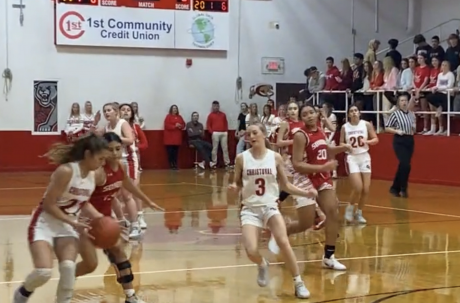 Christoval's Sophia Nemec steals the ball for the Lady Cougars.