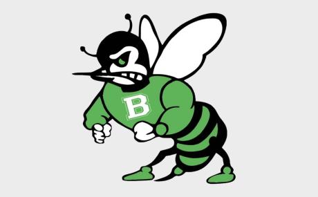Blackwell Hornets logo