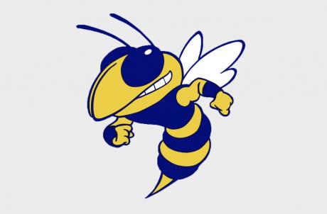 Rochelle Hornets logo