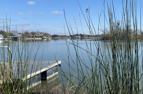 A View of Lake Nasworthy