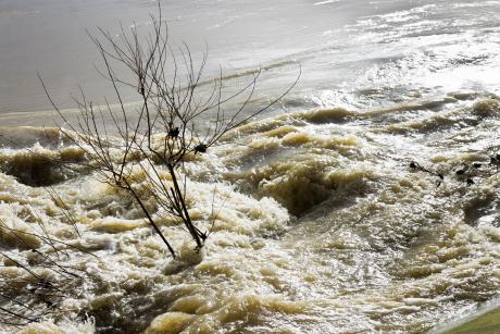 Flood Waters