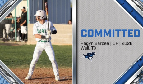 Wall Hawks Hagyn Barbee