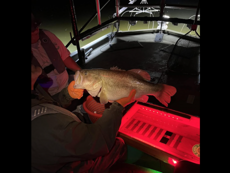 A fishing survey this week conducted by the Texas Parks and Wildlife Department showed promising results at Lake Nasworthy.