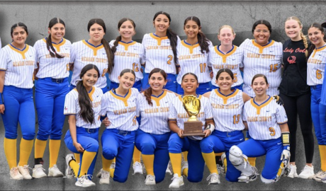 The Reagan County Lady Owls are headed to the regional semifinals for the first time in program history.