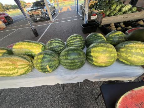 Watermelons are shown from the Concho Valley Farmer's Market.