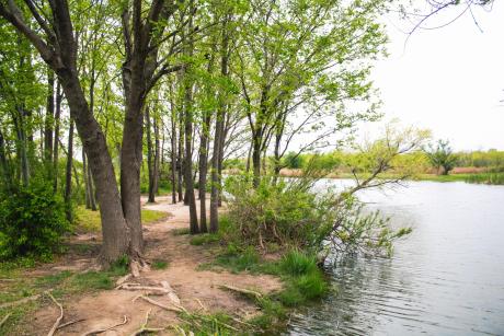 Lytle Creek at Cal Young Park in Abilene