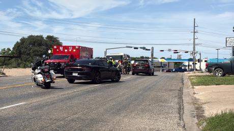 A dog running into traffic Monday caused one person to be taken to the hospital.